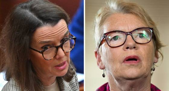 Liberal Senator Anne Ruston and Greens Senator Janet Rice (Images: AAP)