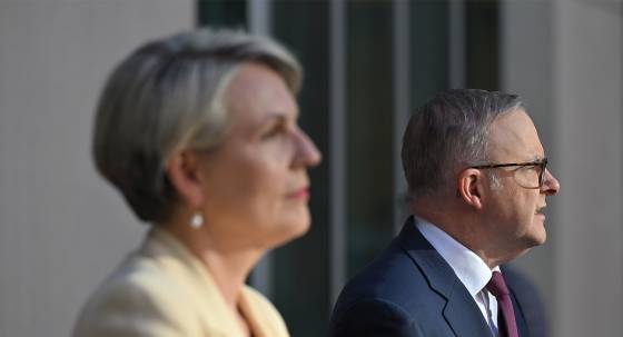 Environment Minister Tanya Plibersek and Prime Minister Anthony Albanese (Image: AAP/Mick Tsikas)
