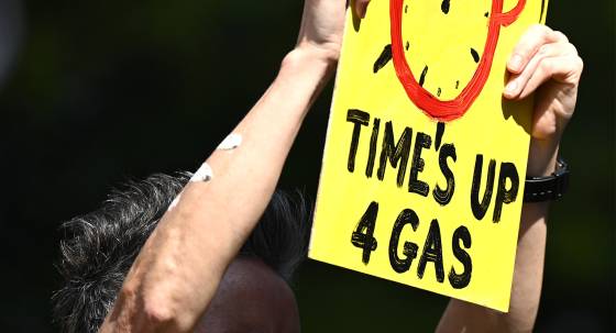 A protester rallying against the planned Santos Narrabri Gas Project, in Sydney (Image: AAP/Dan Himbrechts)
