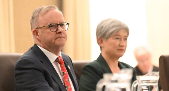 Anthony Albanese and Penny Wong (Image: AAP)