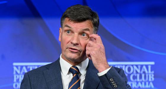Shadow treasurer Angus Taylor (Image: AAP/Lukas Coch)