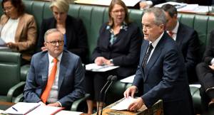 Anthony Albanese and NDIS Minister Bill Shorten (Image: AAP/Lukas Coch)
