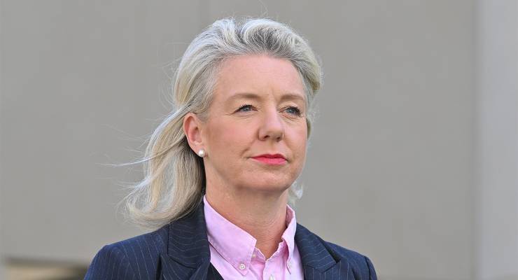 Bridget McKenzie (Image: AAP/Mick Tsikas)