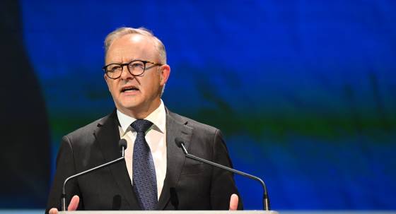 Anthony Albanese (Image: AAP/Lukas Coch)