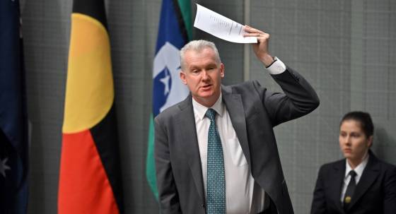 New Home Affairs Minister Tony Burke (Image: AAP/Mick Tsikas)