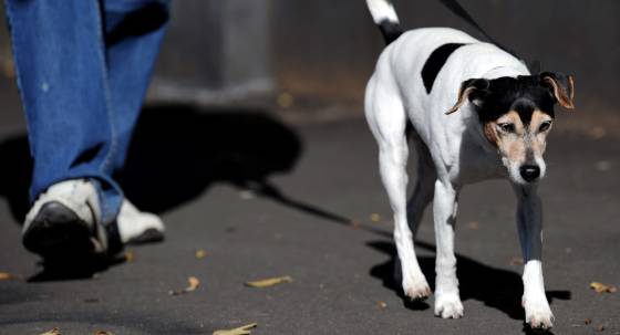 (Image: AAP/Paul Miller)