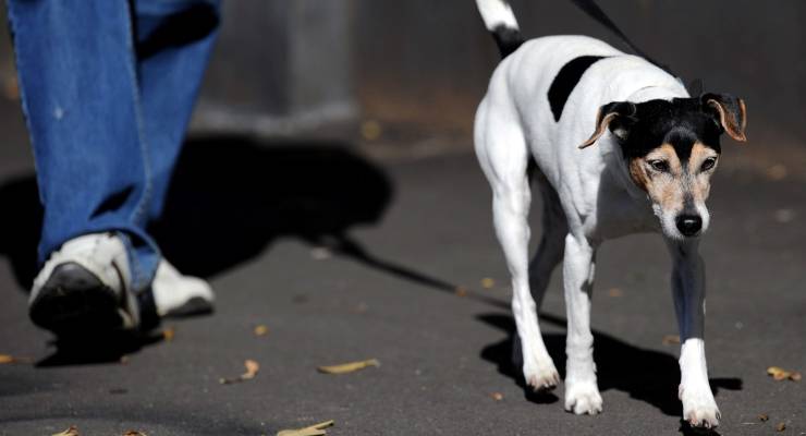 (Image: AAP/Paul Miller)