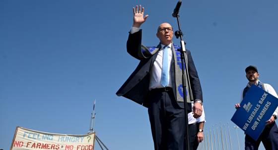 Peter Dutton (Image: AAP/Lukas Coch)