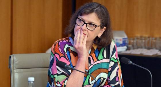 Assistant Minister for Health Ged Kearney (Image: AAP/Mick Tsikas)